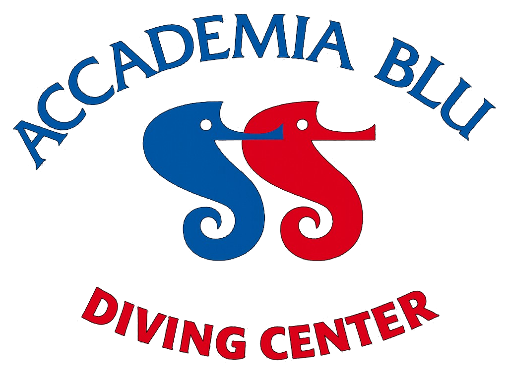 Accademia Blu
